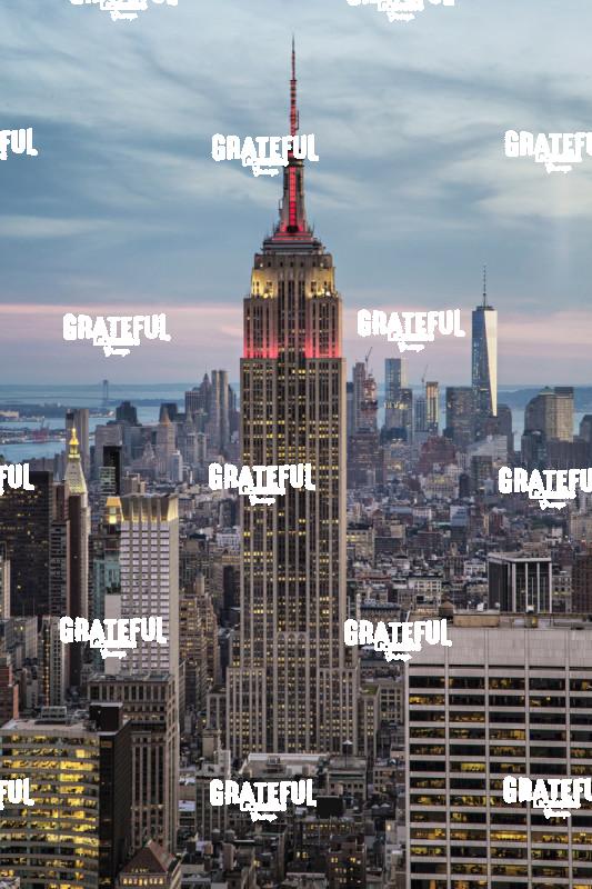 Empire State Building in NYC 3