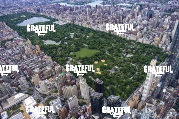 Above Central Park in NYC 3