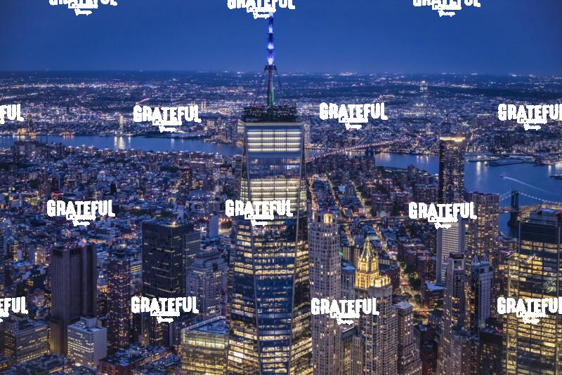 Freedom Tower from above in NYC 5