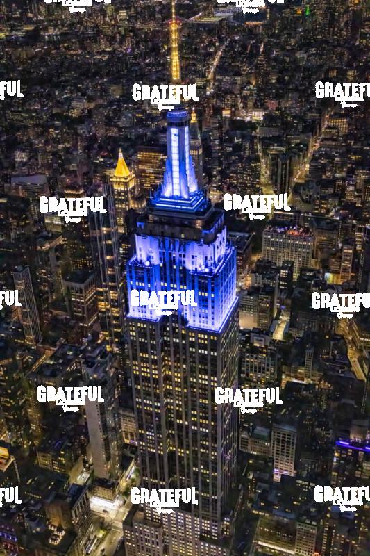 The Empire State Building in New York City 3