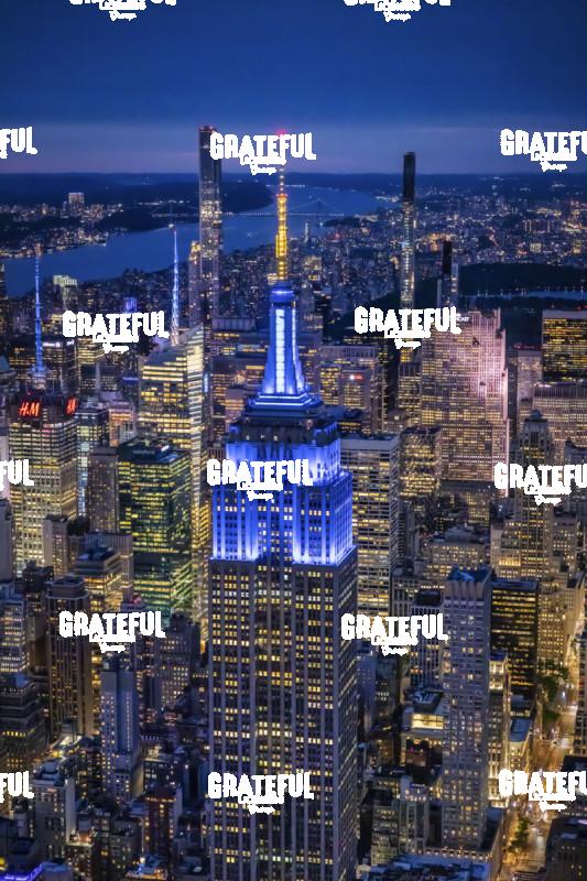 The Empire State Building in New York City