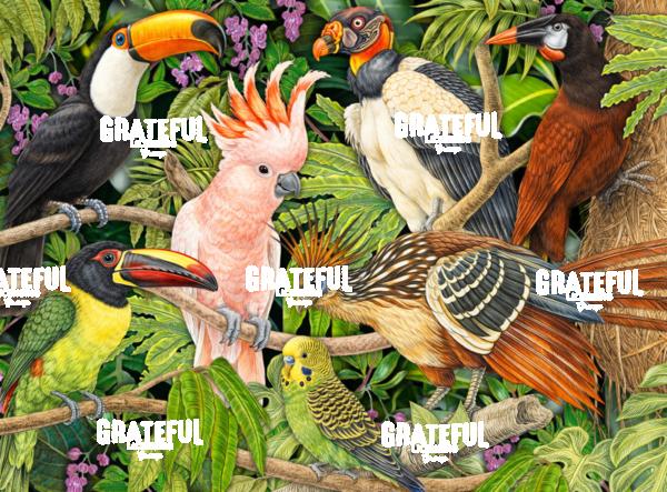 Tropical Collage Birds 2