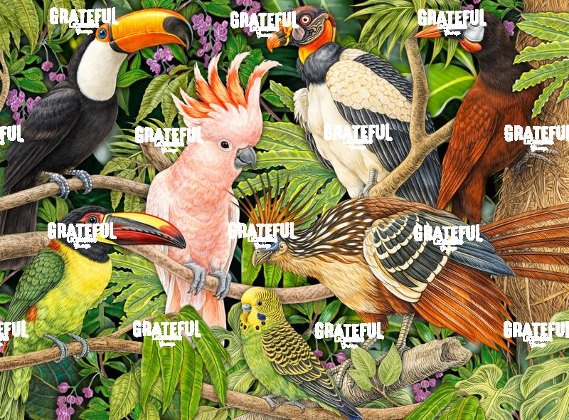 Tropical Collage Birds 2