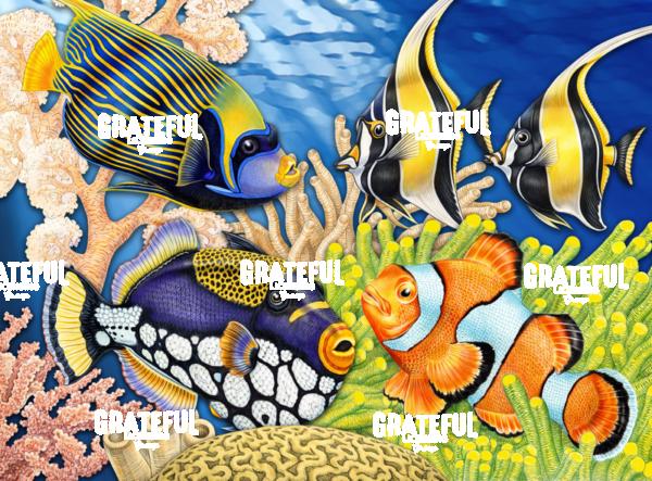 Tropical Fish Collage