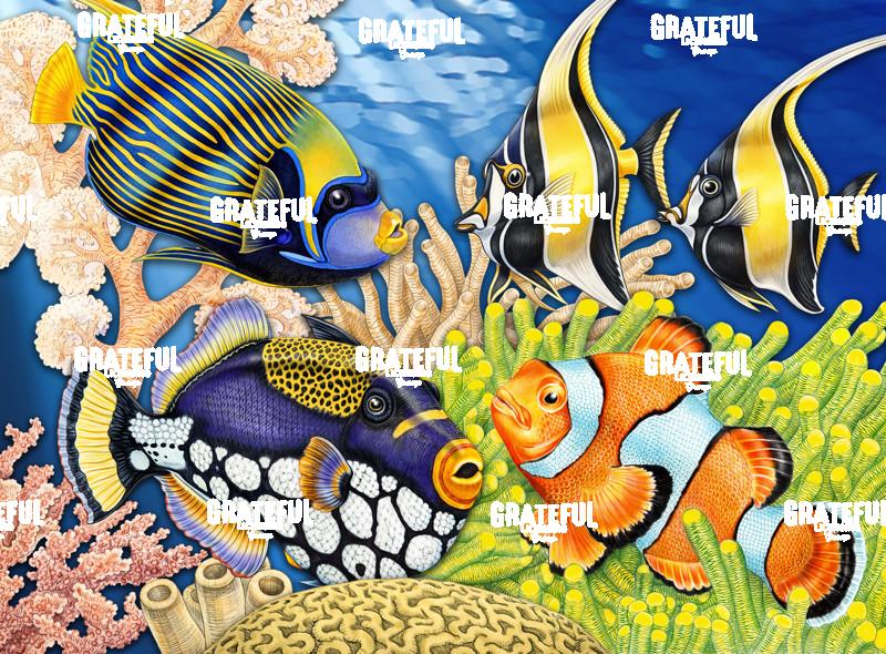 Tropical Fish Collage