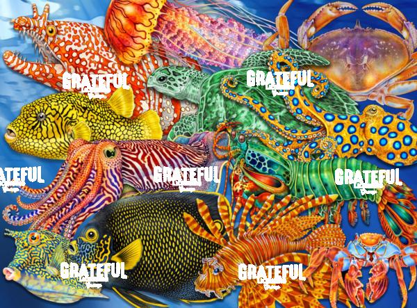 Sea Creatures Collage