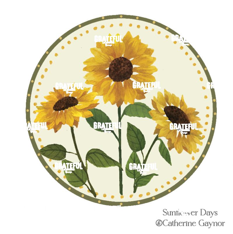 Sunflower Days 1