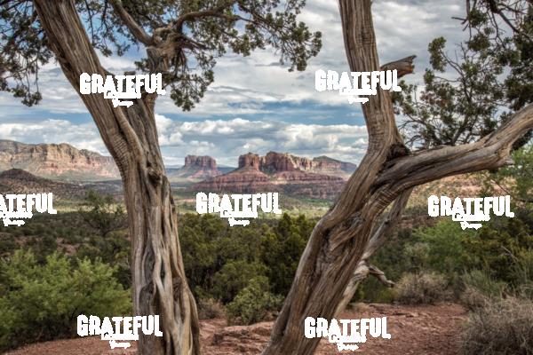 View of Cathedral Rock in Sedona