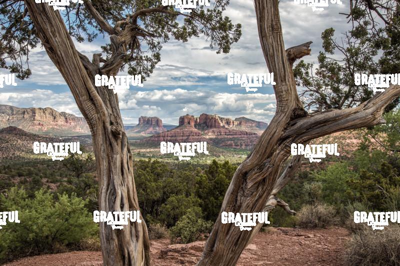 View of Cathedral Rock in Sedona