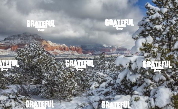Snow Day Sedona.jpg