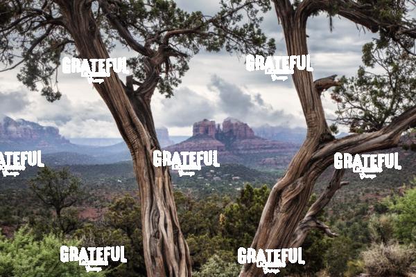 Cathedral Rock in Sedona
