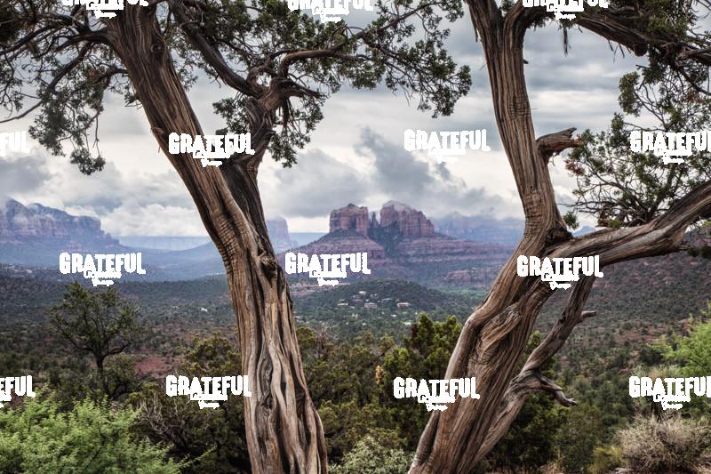 Cathedral Rock in Sedona