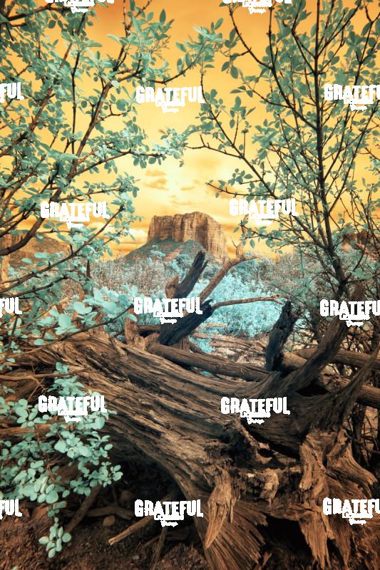 Infra red of Courthouse Rock in Sedona, Arizona