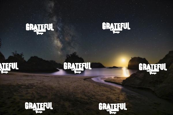 Seastacks and Sand Dunes on the Oregon Coast 5