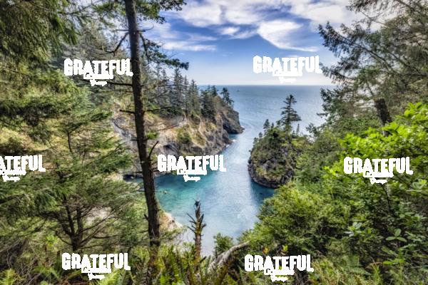 Beautiful Cove on the Oregon Coast