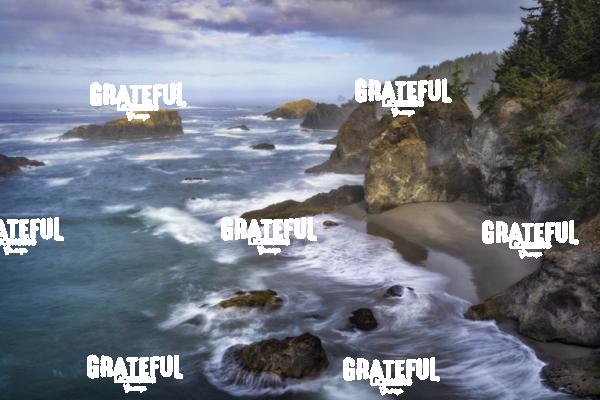 Samuel Boardman Scenic Corridor on the Oregon Coast 3