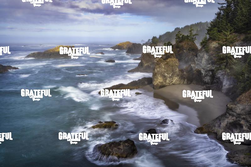 Samuel Boardman Scenic Corridor on the Oregon Coast 3