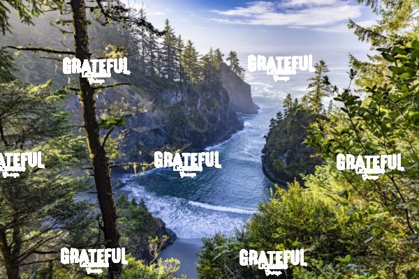 Samuel Boardman Scenic Corridor on the Oregon Coast