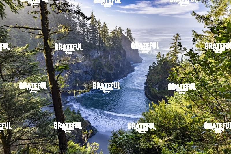 Samuel Boardman Scenic Corridor on the Oregon Coast