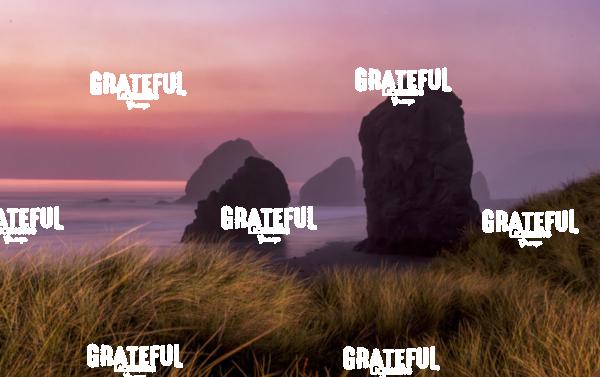 Pistol River North on the Oregon Coast 4