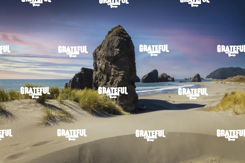 Seastacks and Sand Dunes on the Oregon Coast