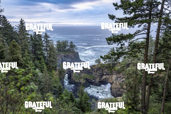 Natural Bridges on the Oregon Coast