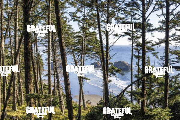 View from Ecola State Park in Cannon Beach, Oregon Coast