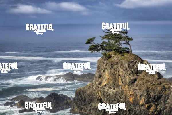 Rugged Coastline of the Oregon Coast