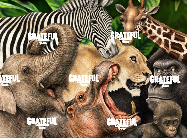 African Animals Collage