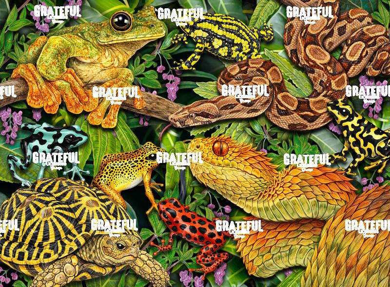 Reptile Collage 3