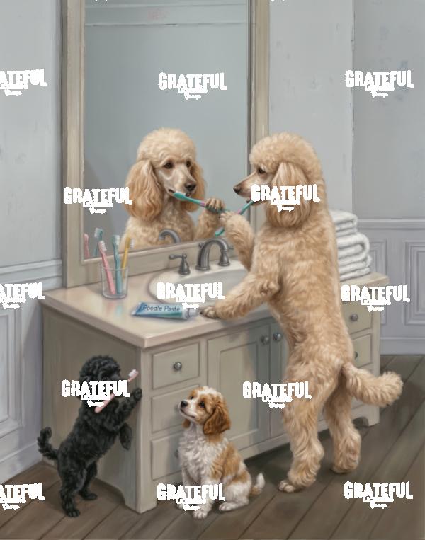 Poodles, Brushing their Teeth