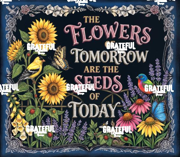 The Flowers of Tomorrow are the Seeds of Today