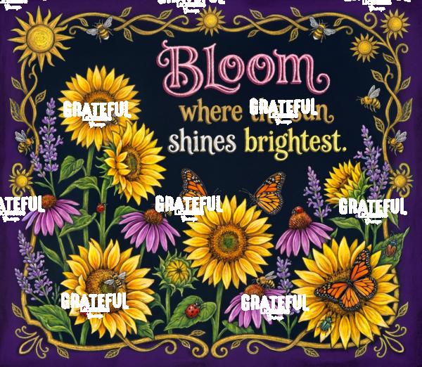 Bloom Where the Sun Shines Brightest