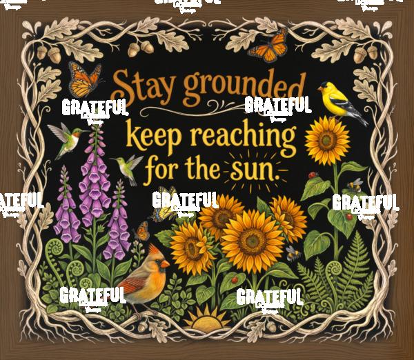Stay Grounded Keep Reaching for the Sun