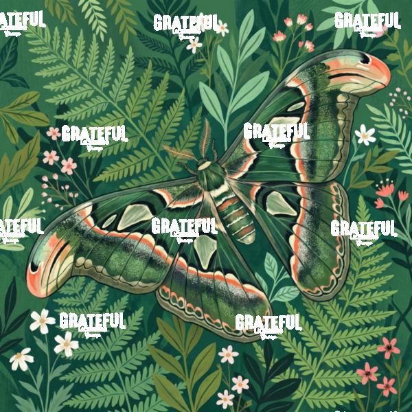 Green Moth on Wallpaper