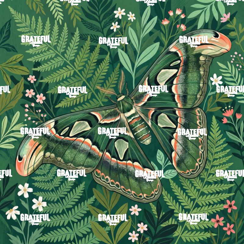 Green Moth on Wallpaper