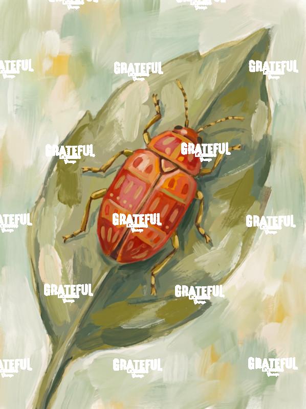 beetle on a leaf