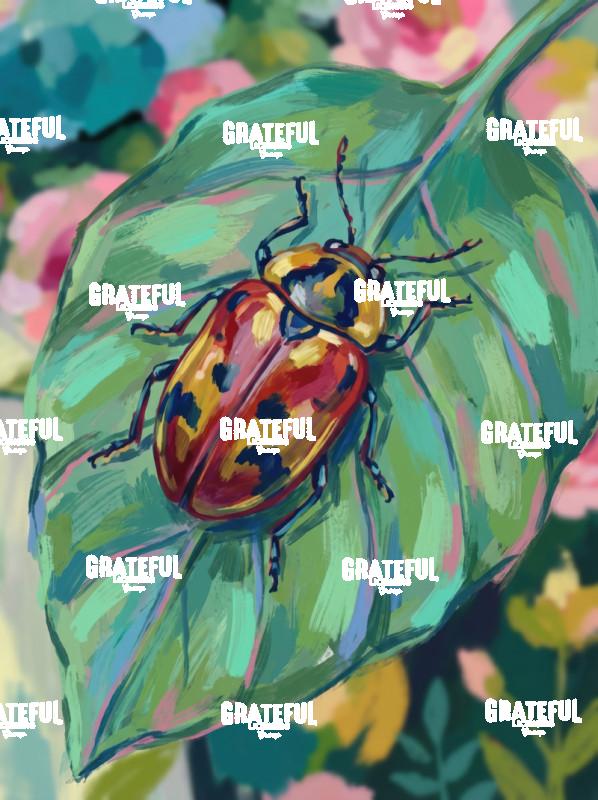 Beetle on a Leaf Bold