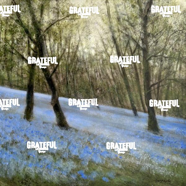 As The Woods Awaken - Bluebell Forest