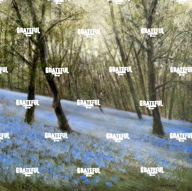 As The Woods Awaken - Bluebell Forest