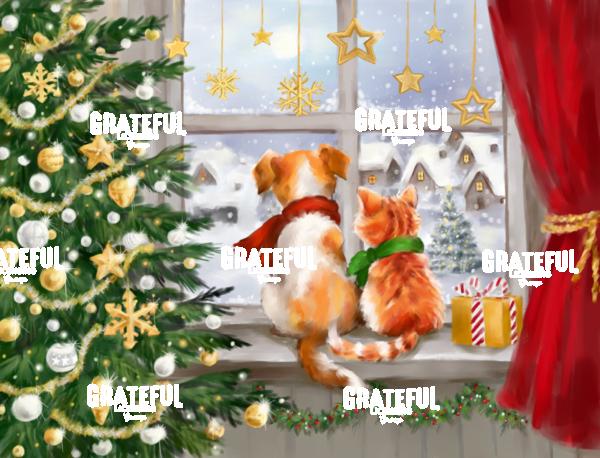 Dog and Cat at Christmas Window