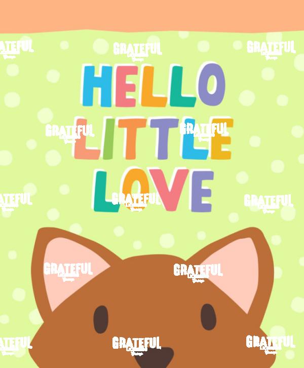 Baby Fox