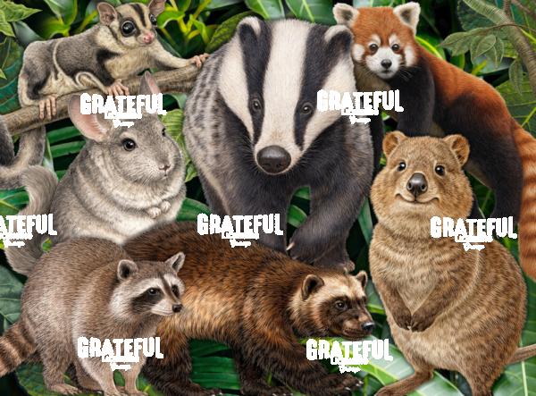Mammals Collage