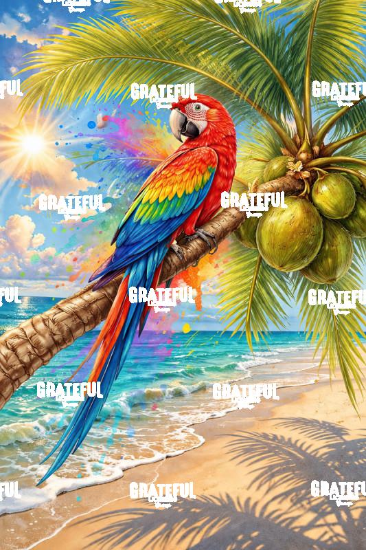 Macaw
