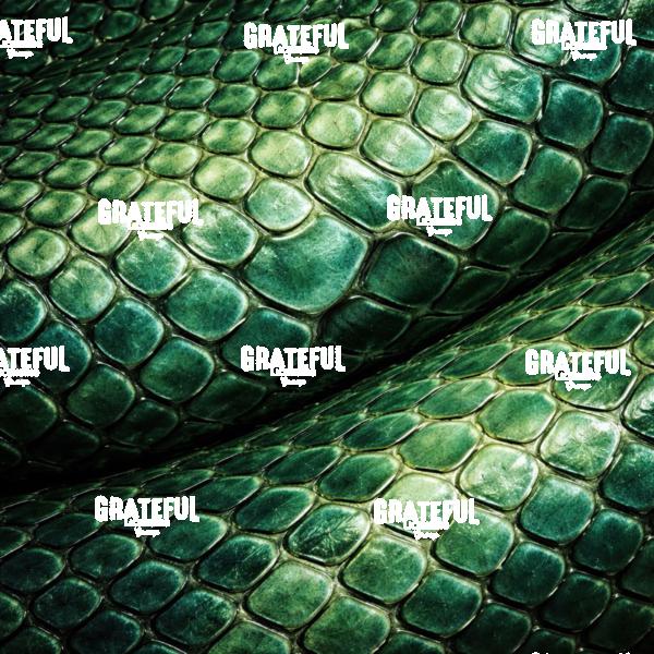 Scales