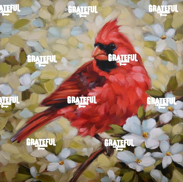 Cardinal 1