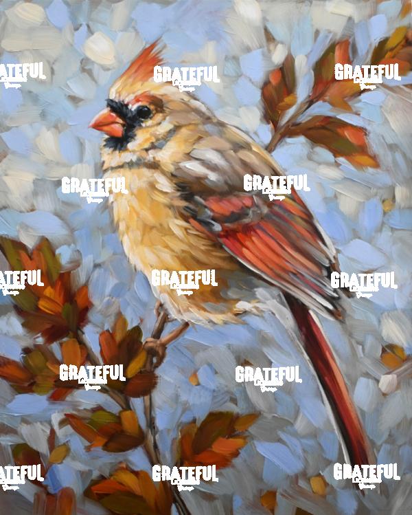 Cardinal 3