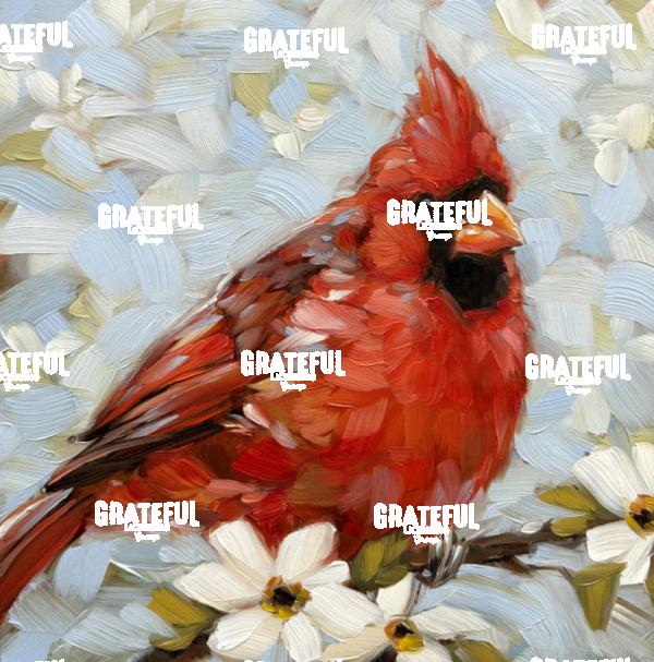 Cardinal 4