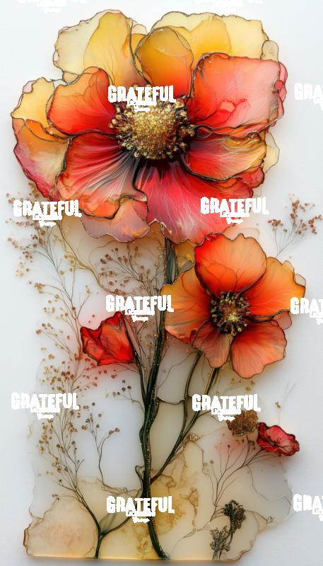 Poppy Radiance