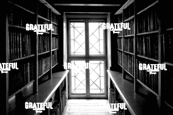 Knowledge Illuminated